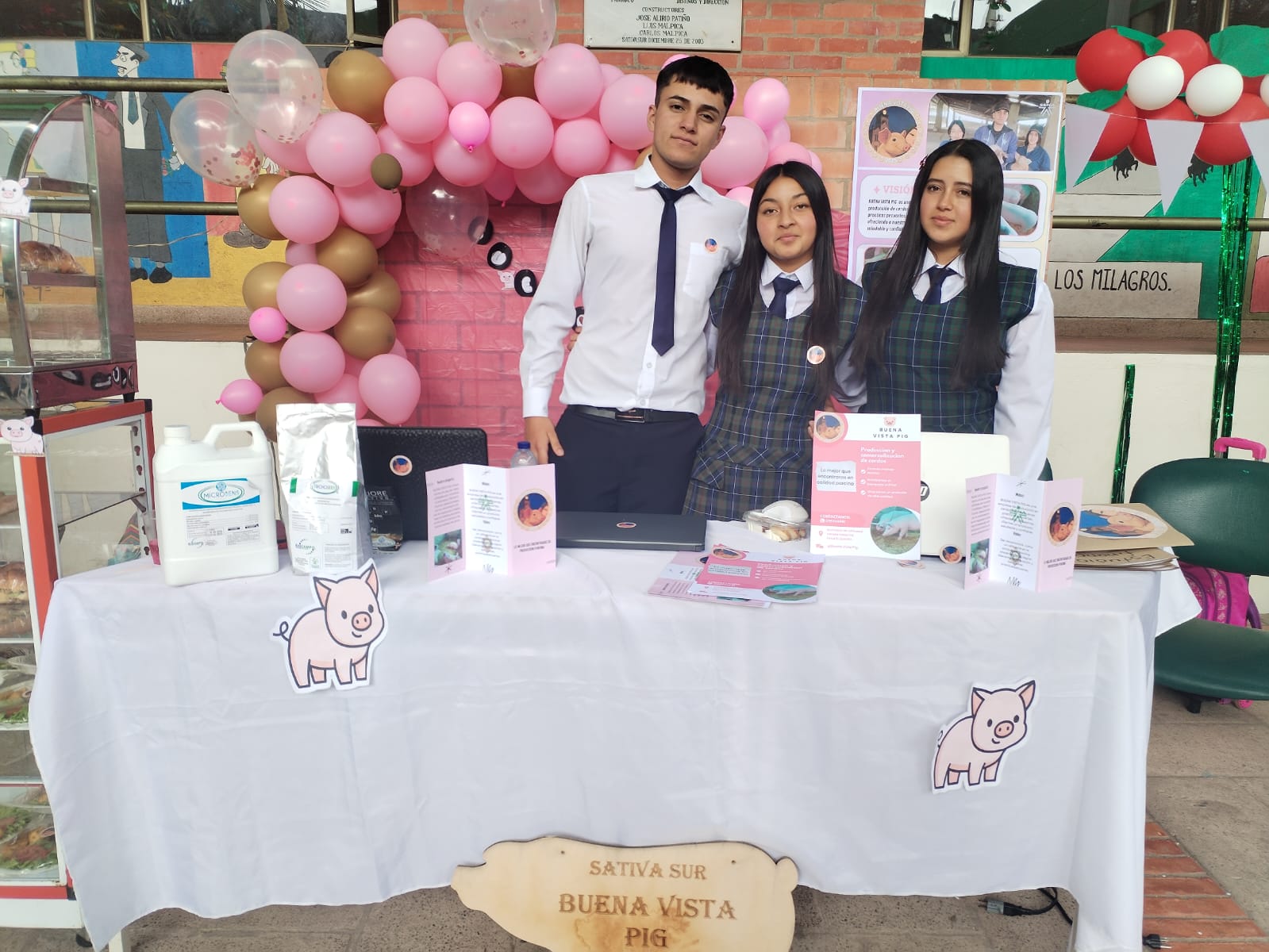 Descripción de la imagen